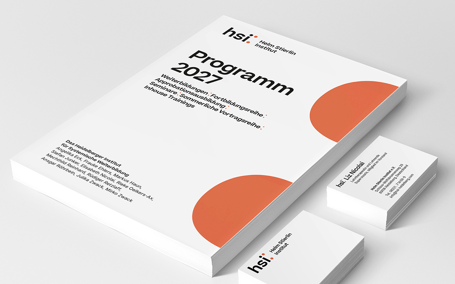 Helm Stierlin Institut Corporate Design